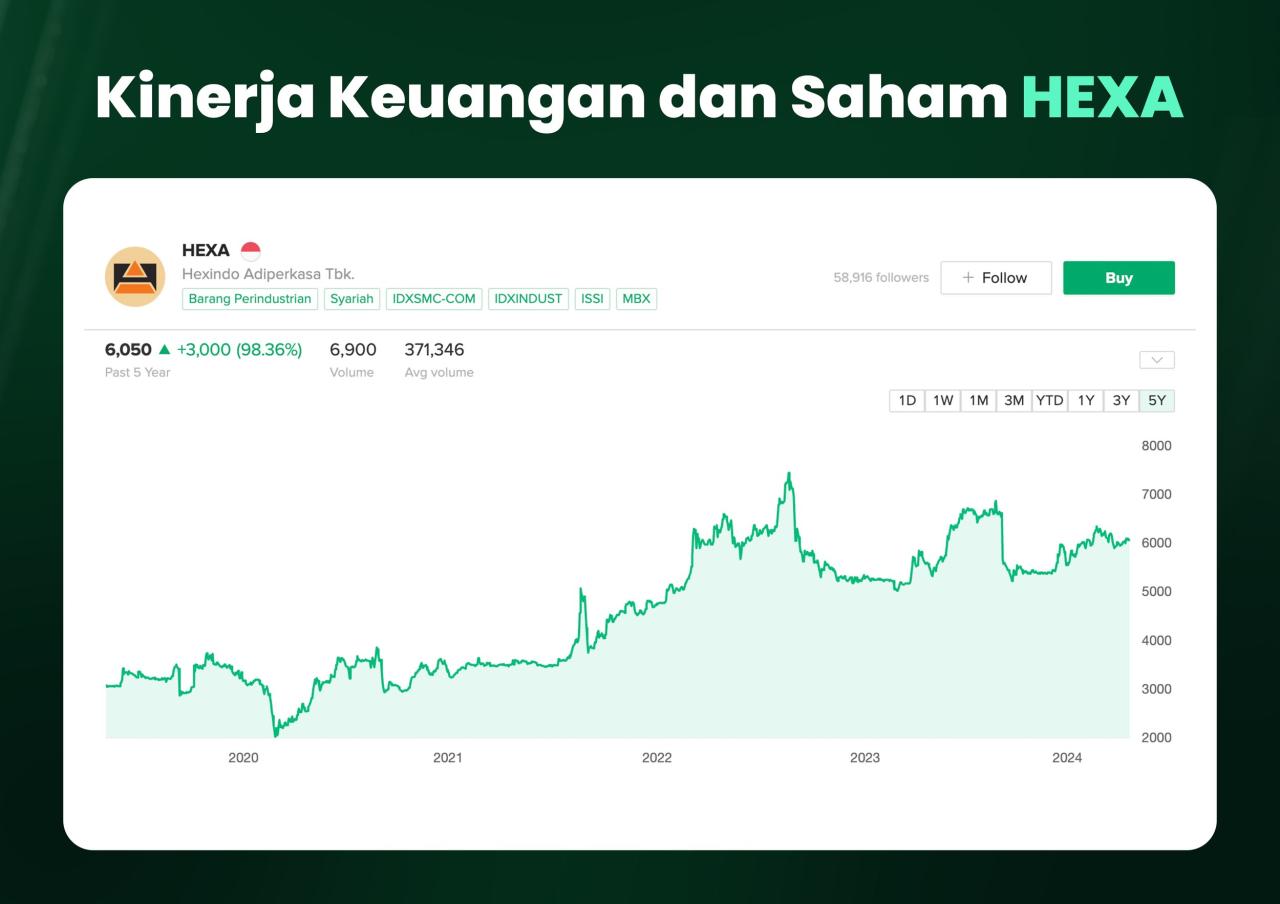 Hexa loan reviews